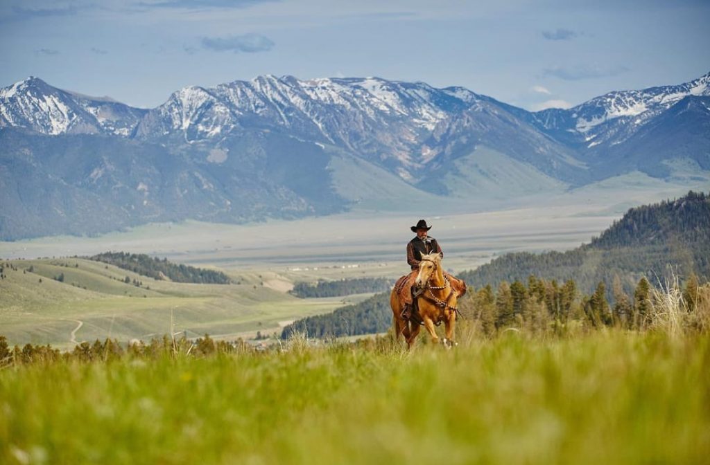 cowboy photo