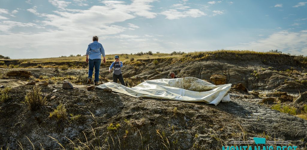 Dinosaur Digging in Montana