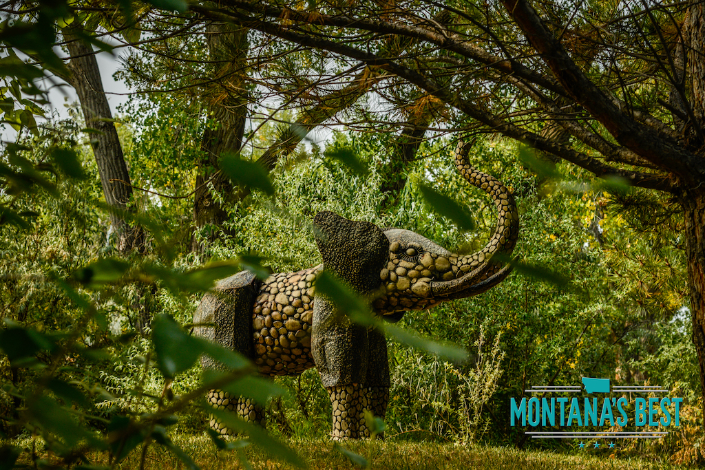 Elephant in Montana