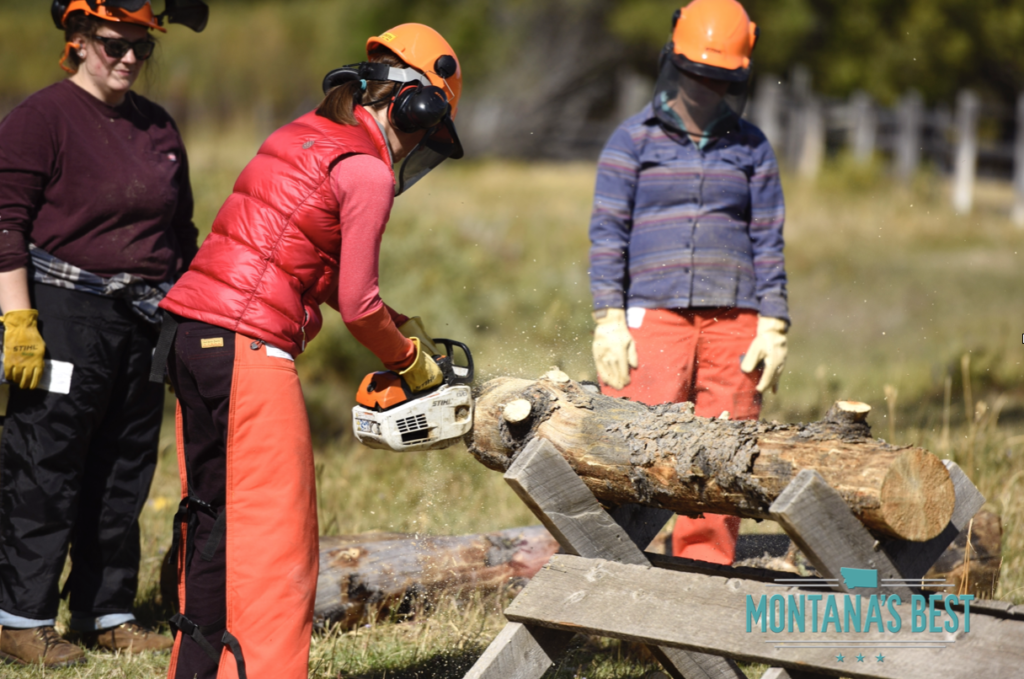 Chainsaw 101 Workshop